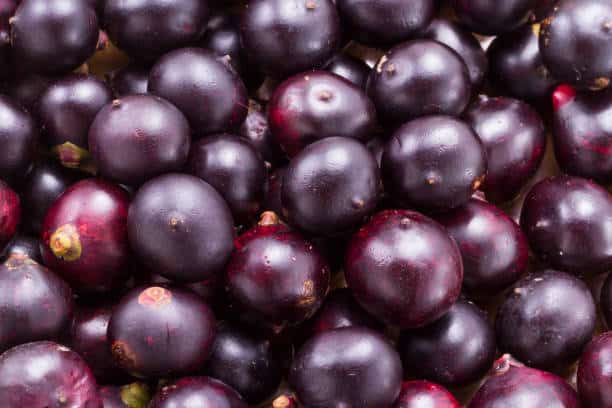 berries and acai powder