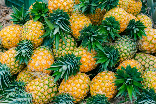 pineapple 1
