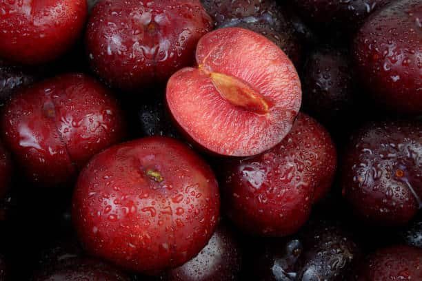 Many ripe plums fruits with water drops as background.