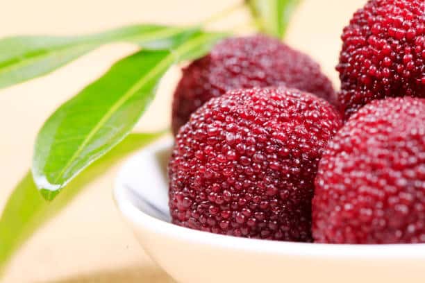 waxberry