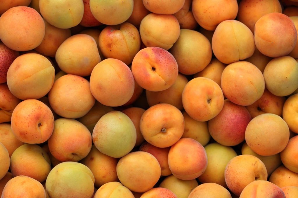 Apricots