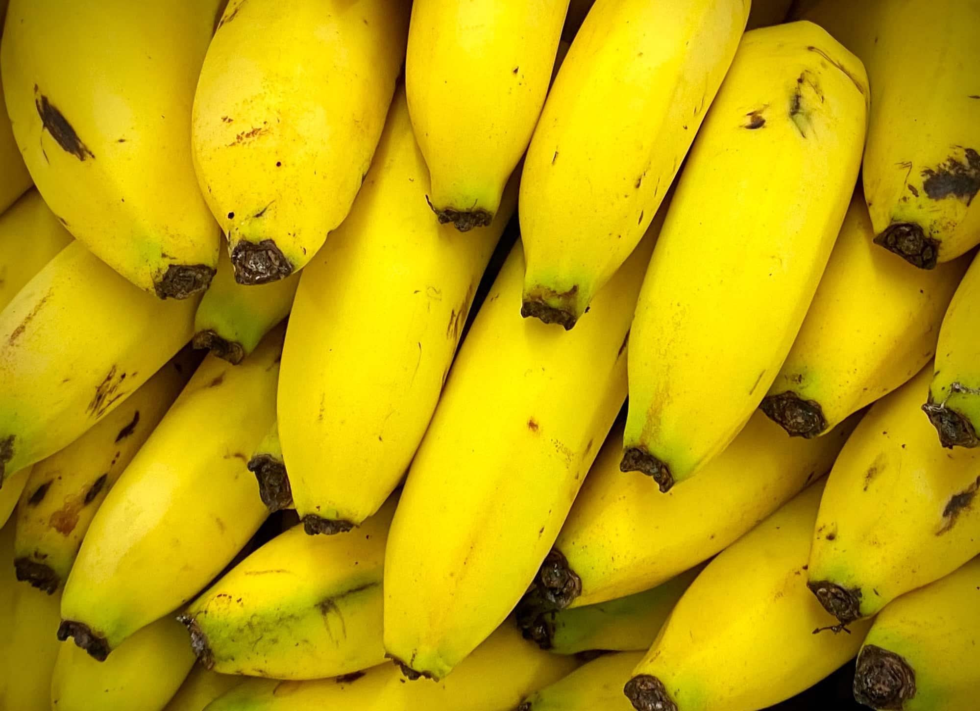 Bananas