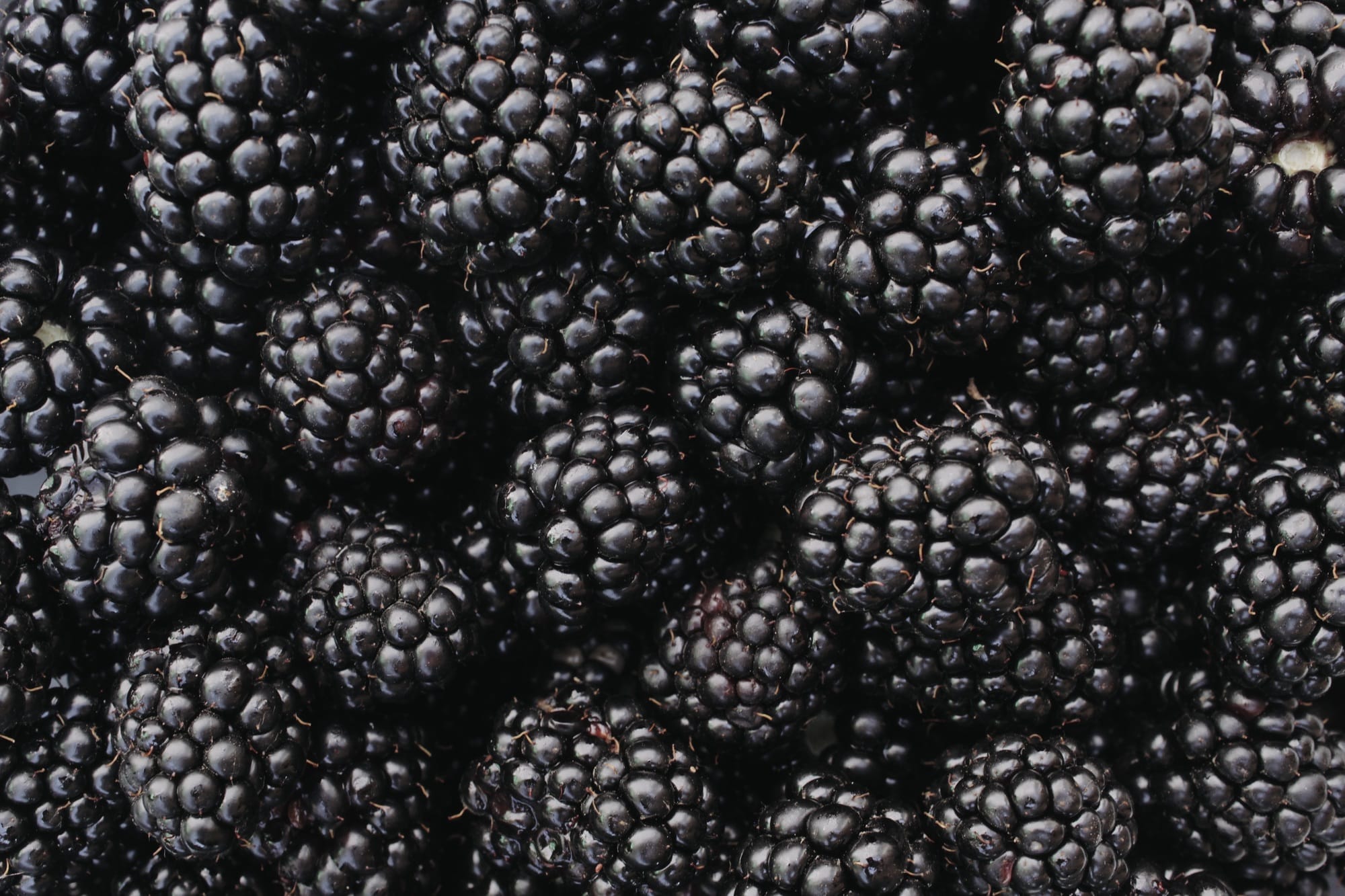 Blackberries background