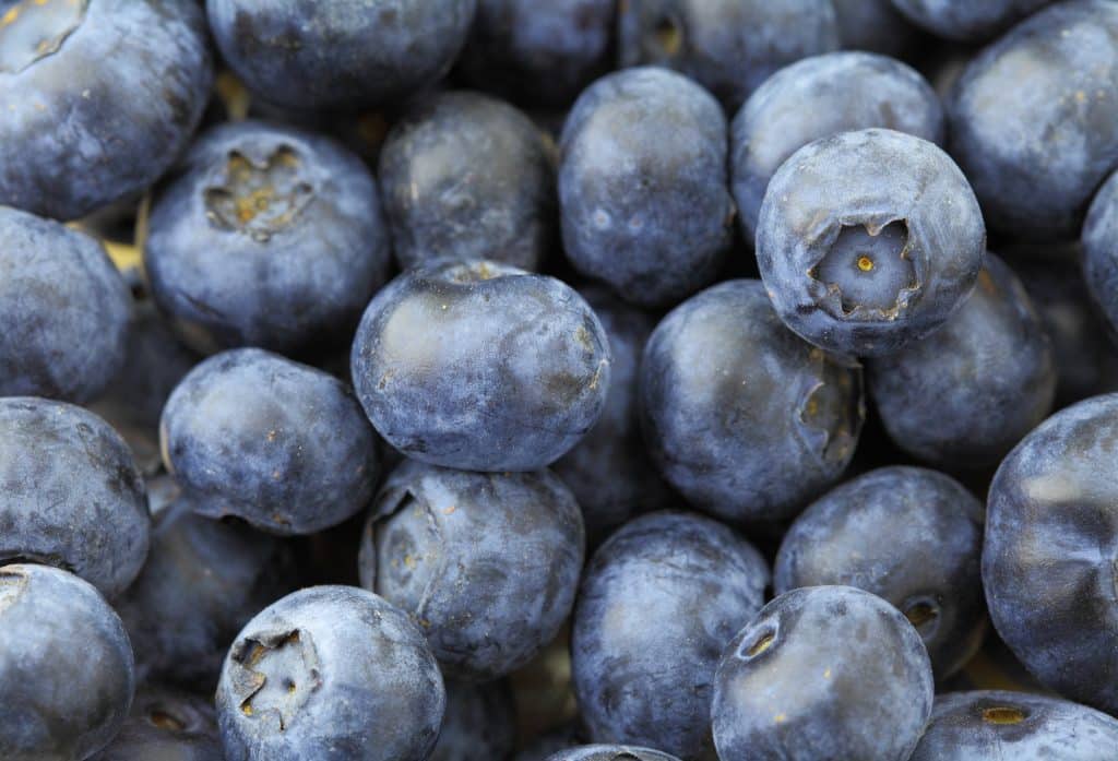 Blueberry