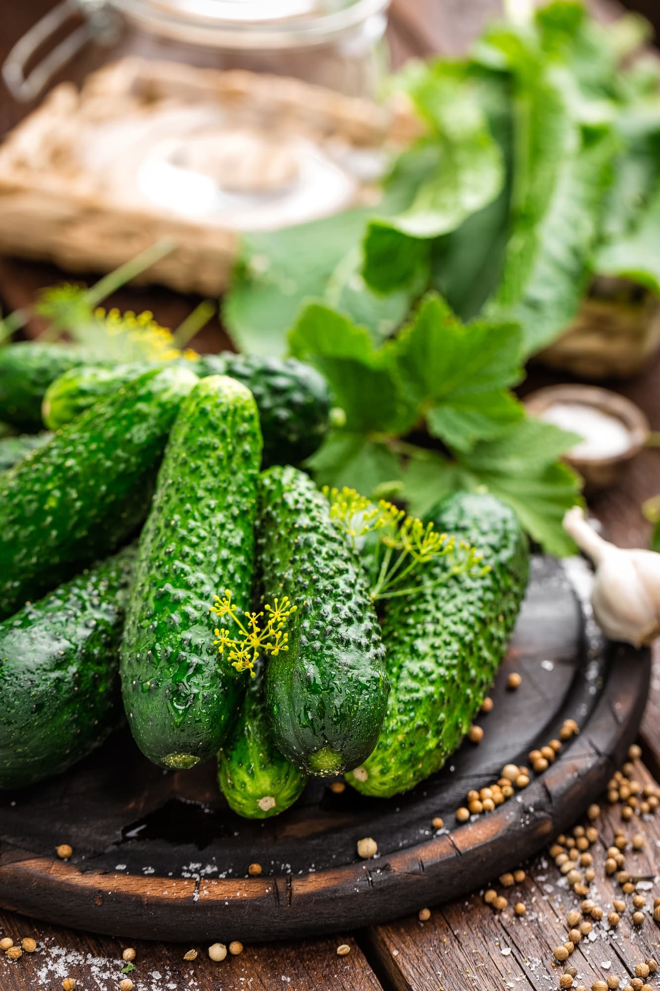 Canning cucumbers