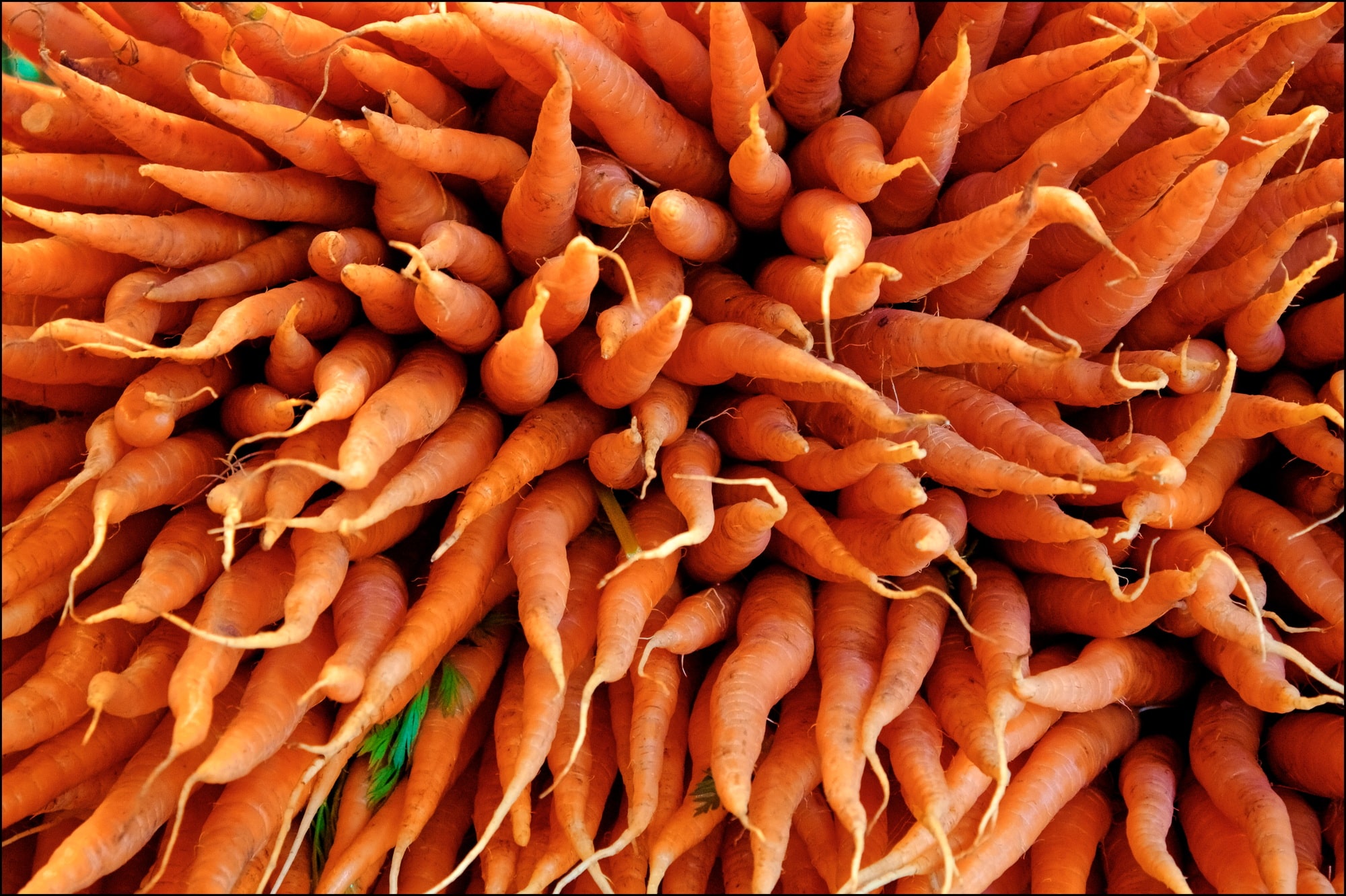 Carrots