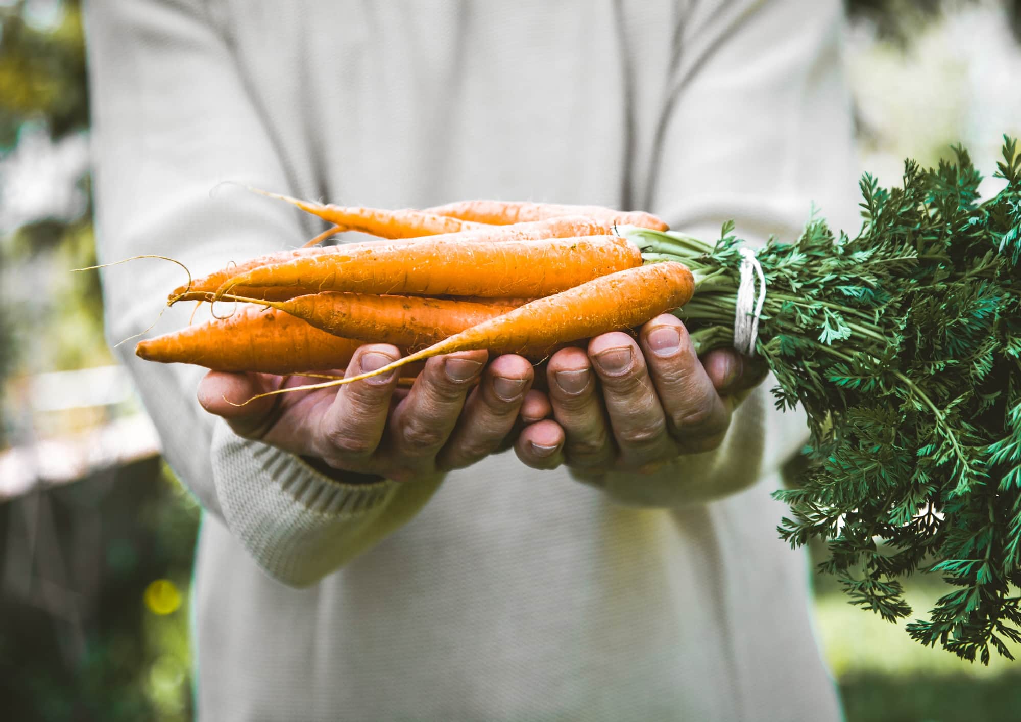 Carrots