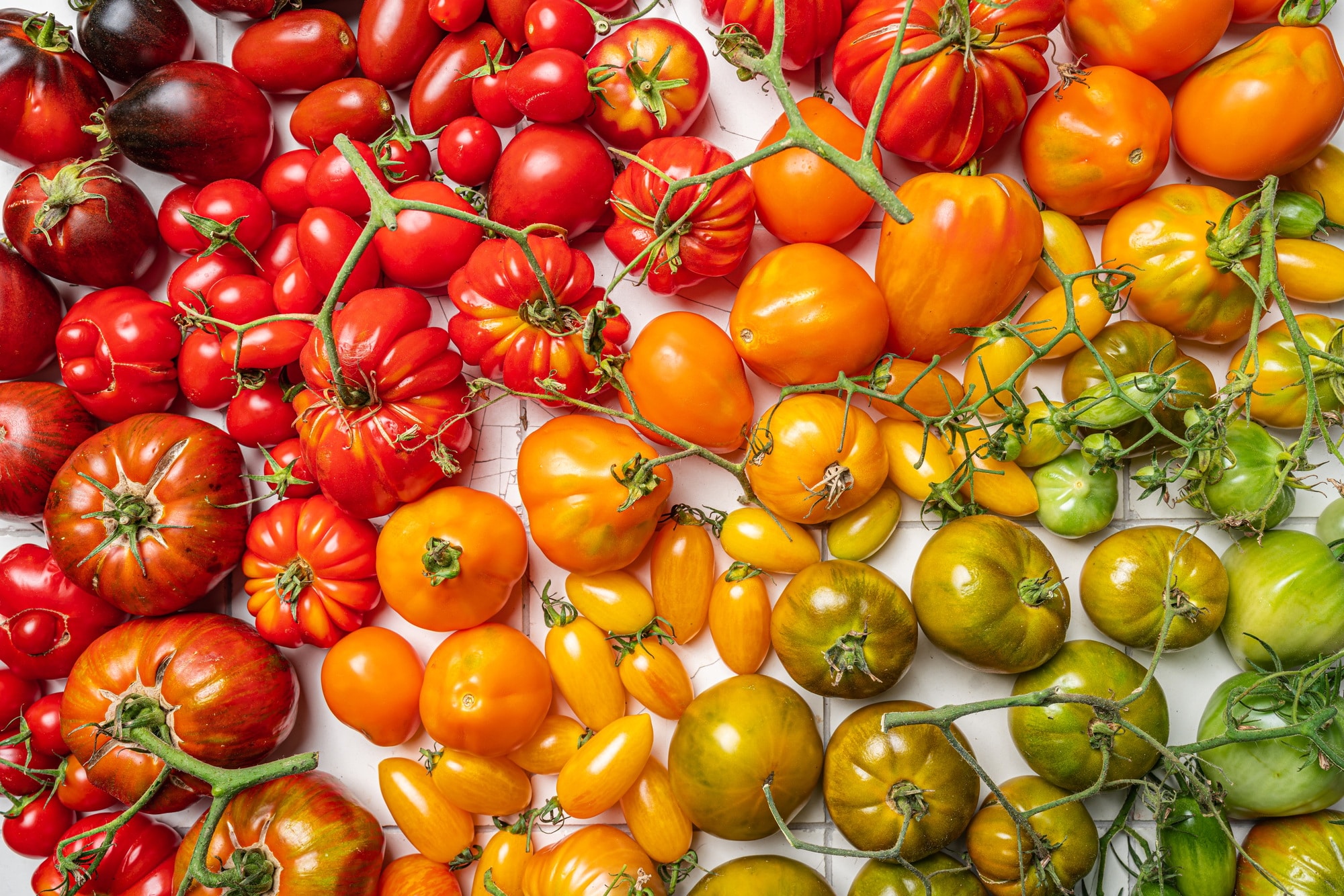 Mix colorful tomatoes