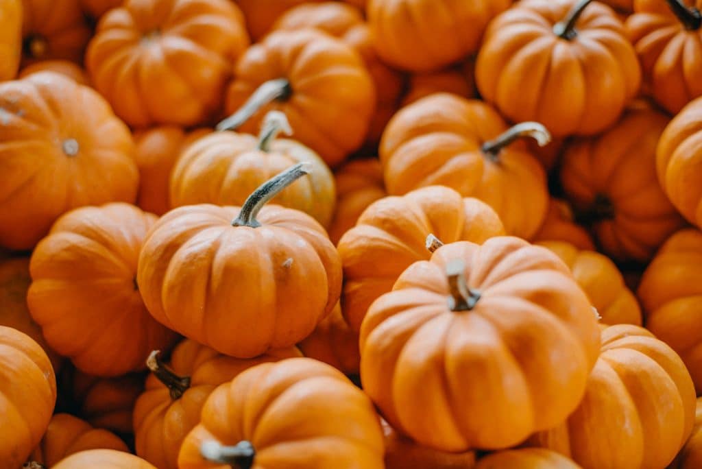 Orange pumpkins