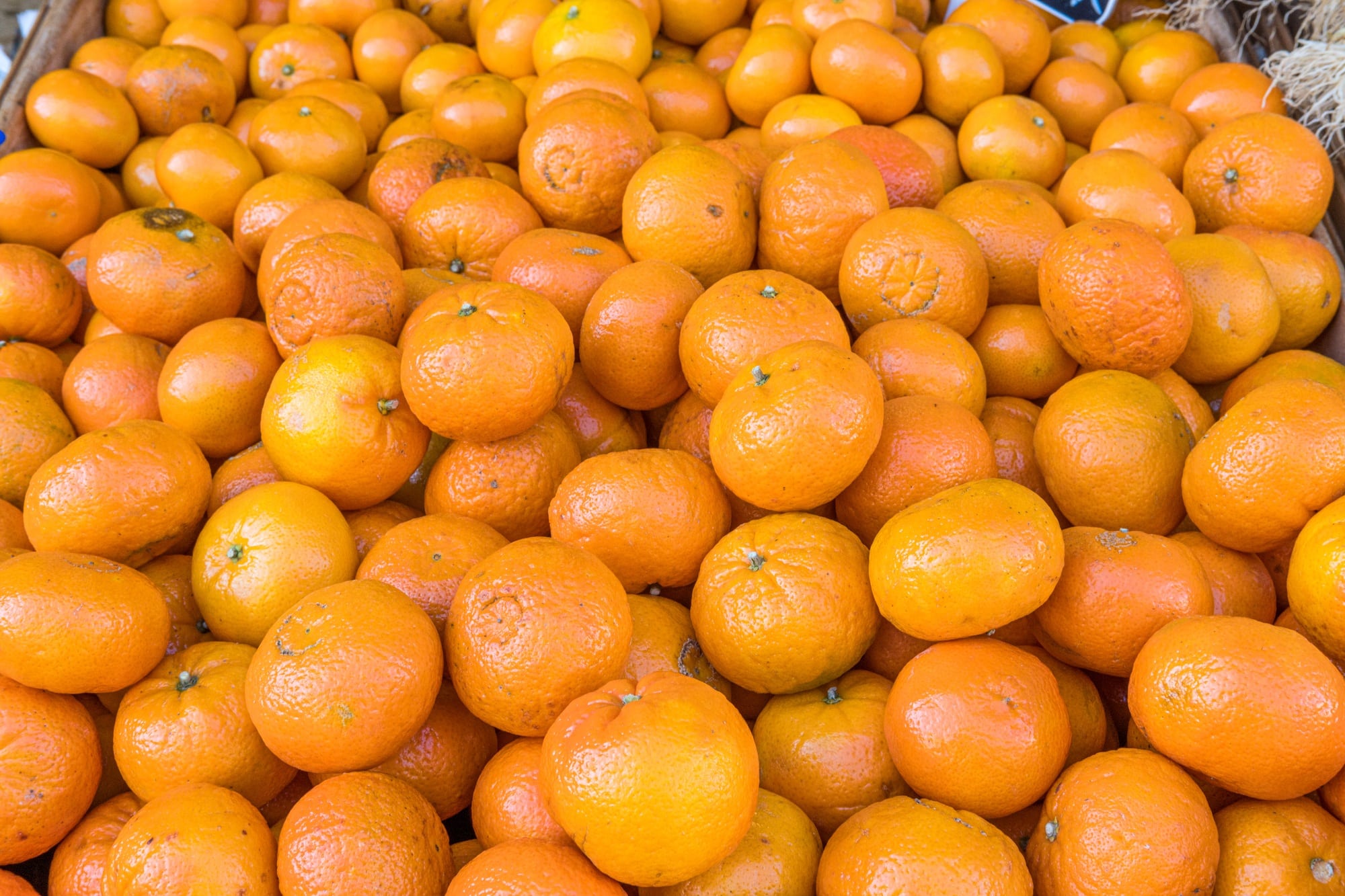 Pile of clementines for sale