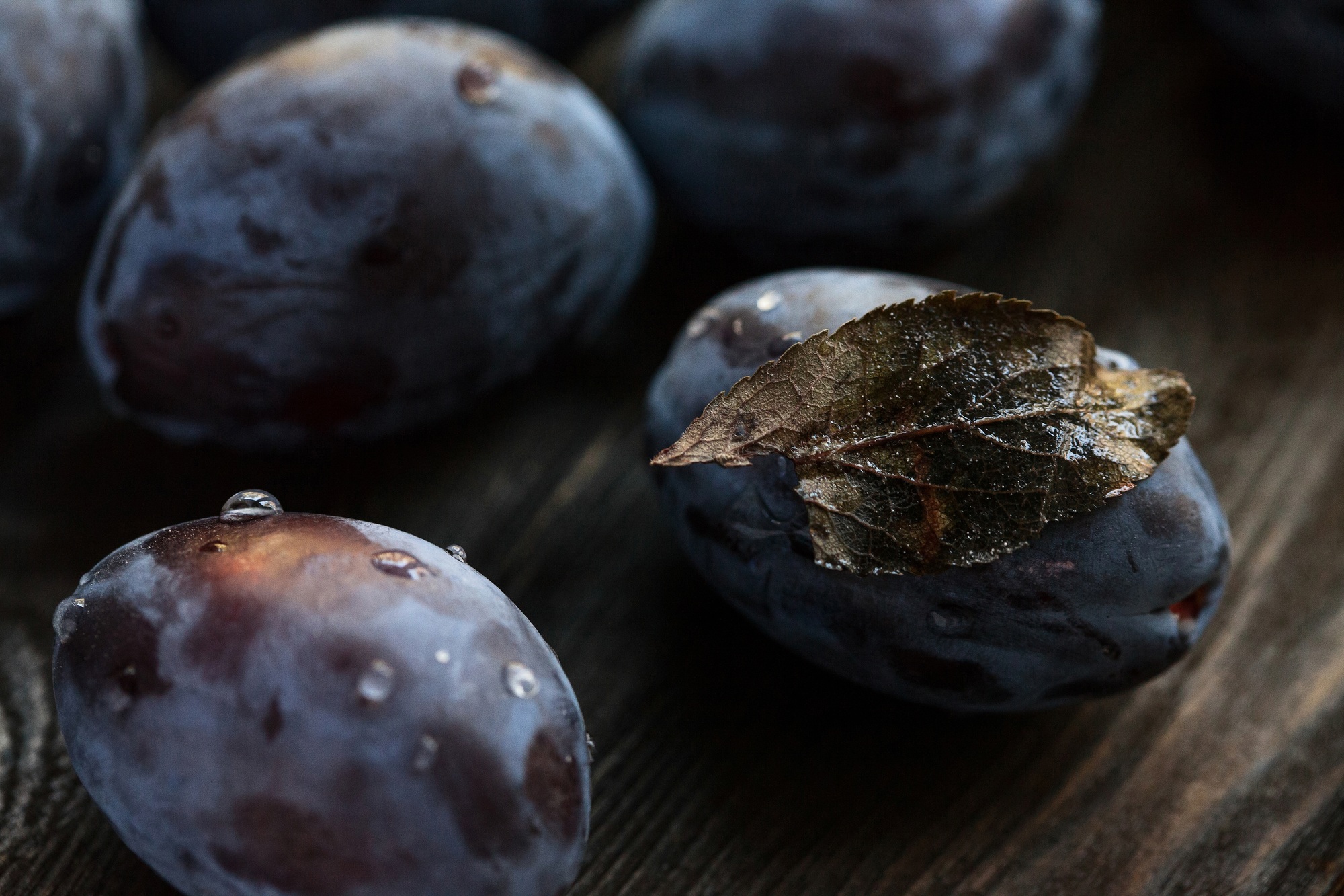 Plums macro