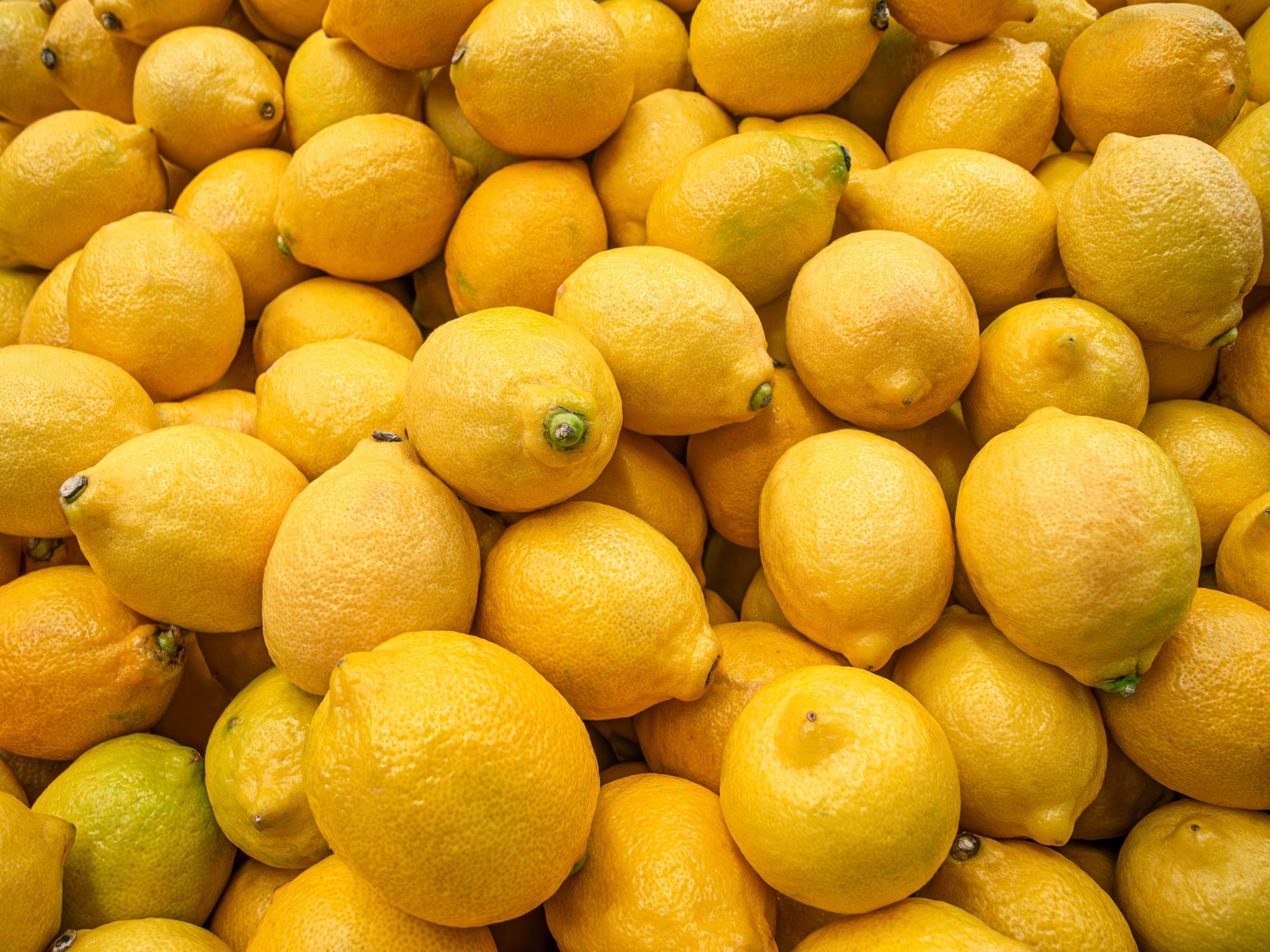 Ripe yellow lemons background or texture. Lemon harvest.