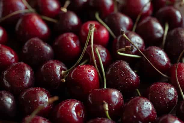 sour cherry 1